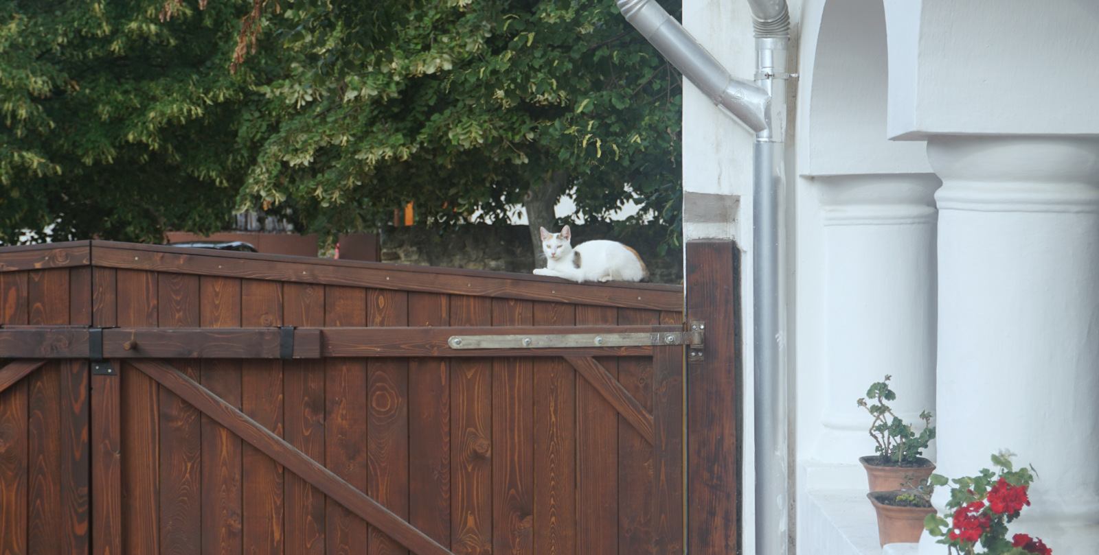 DSC00948.jpg