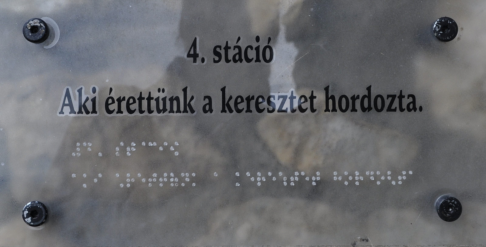 DSC0079.jpg