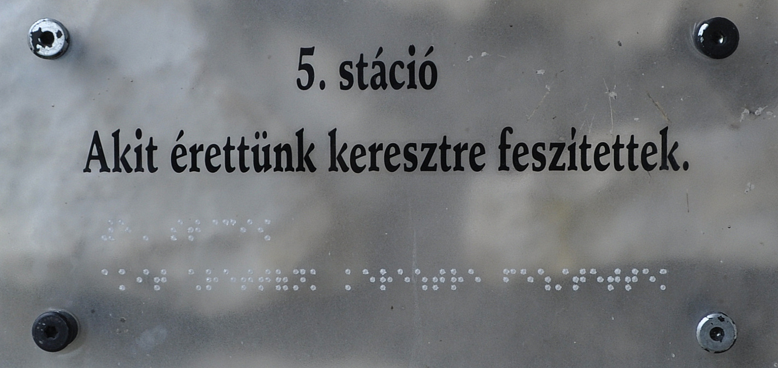 DSC0083.jpg