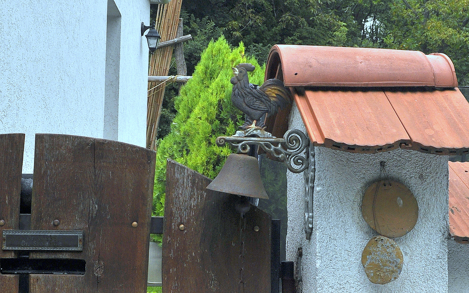 DSC0113.jpg