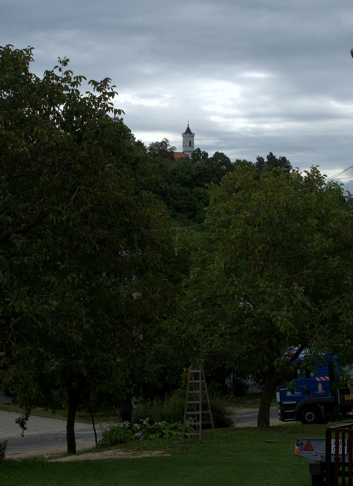 DSC0124.jpg