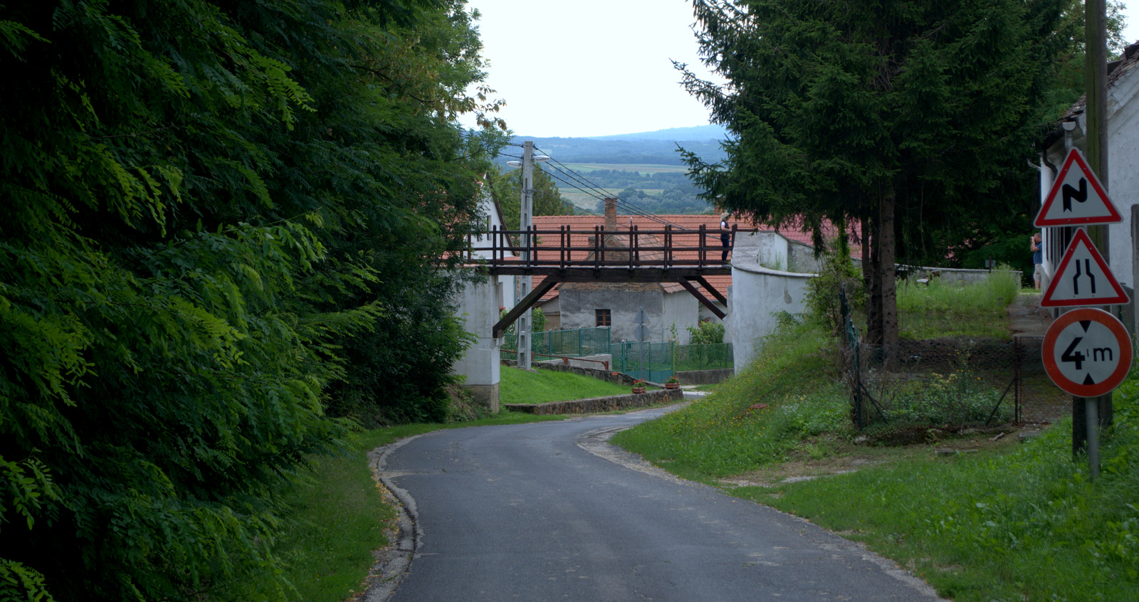 DSC0136.jpg