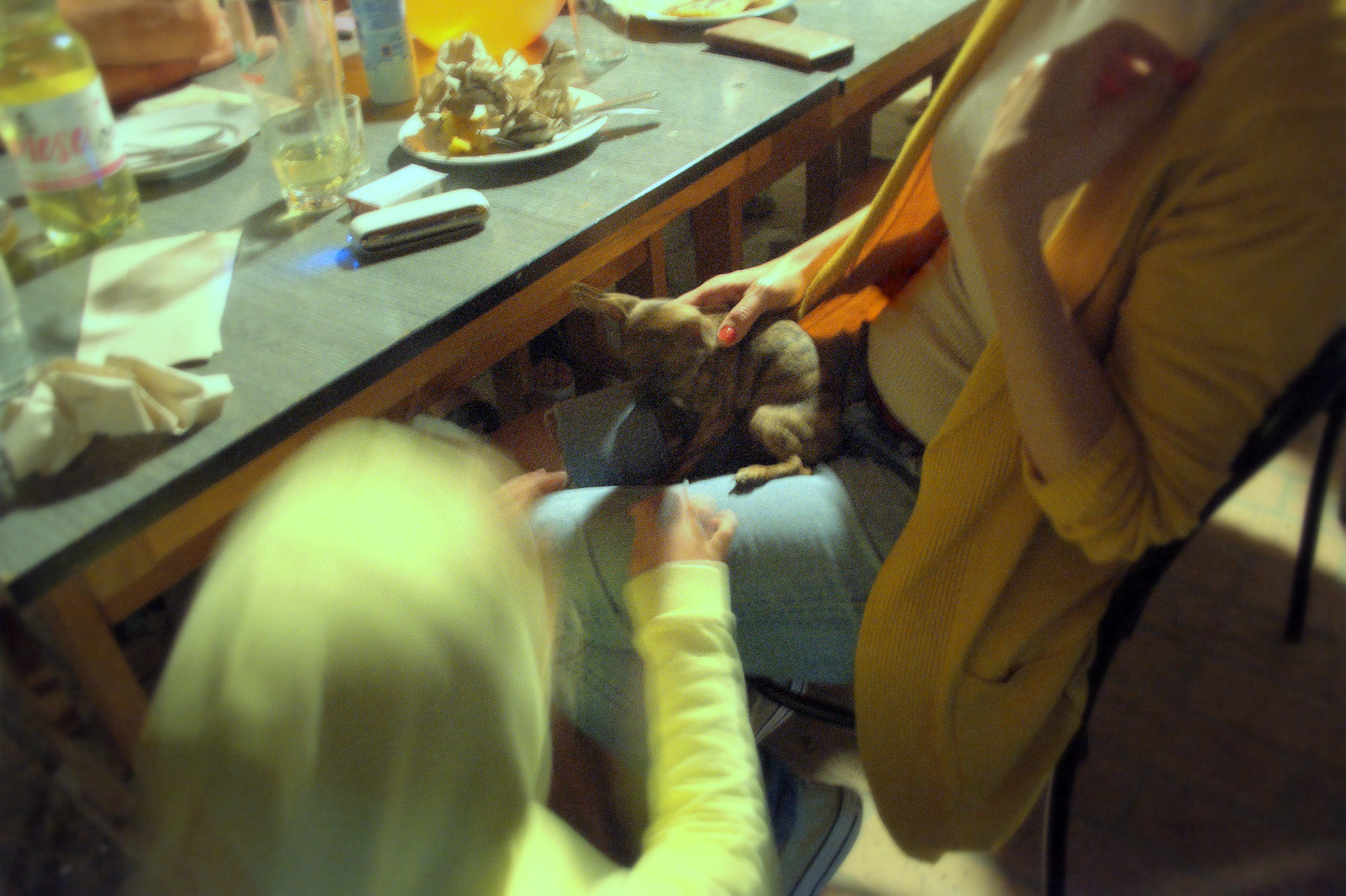 DSC0167.NEF.jpg
