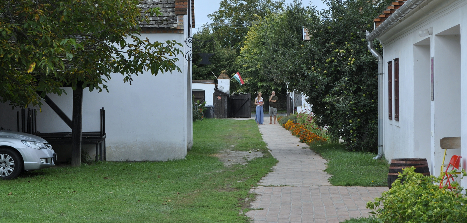 DSC0330.jpg