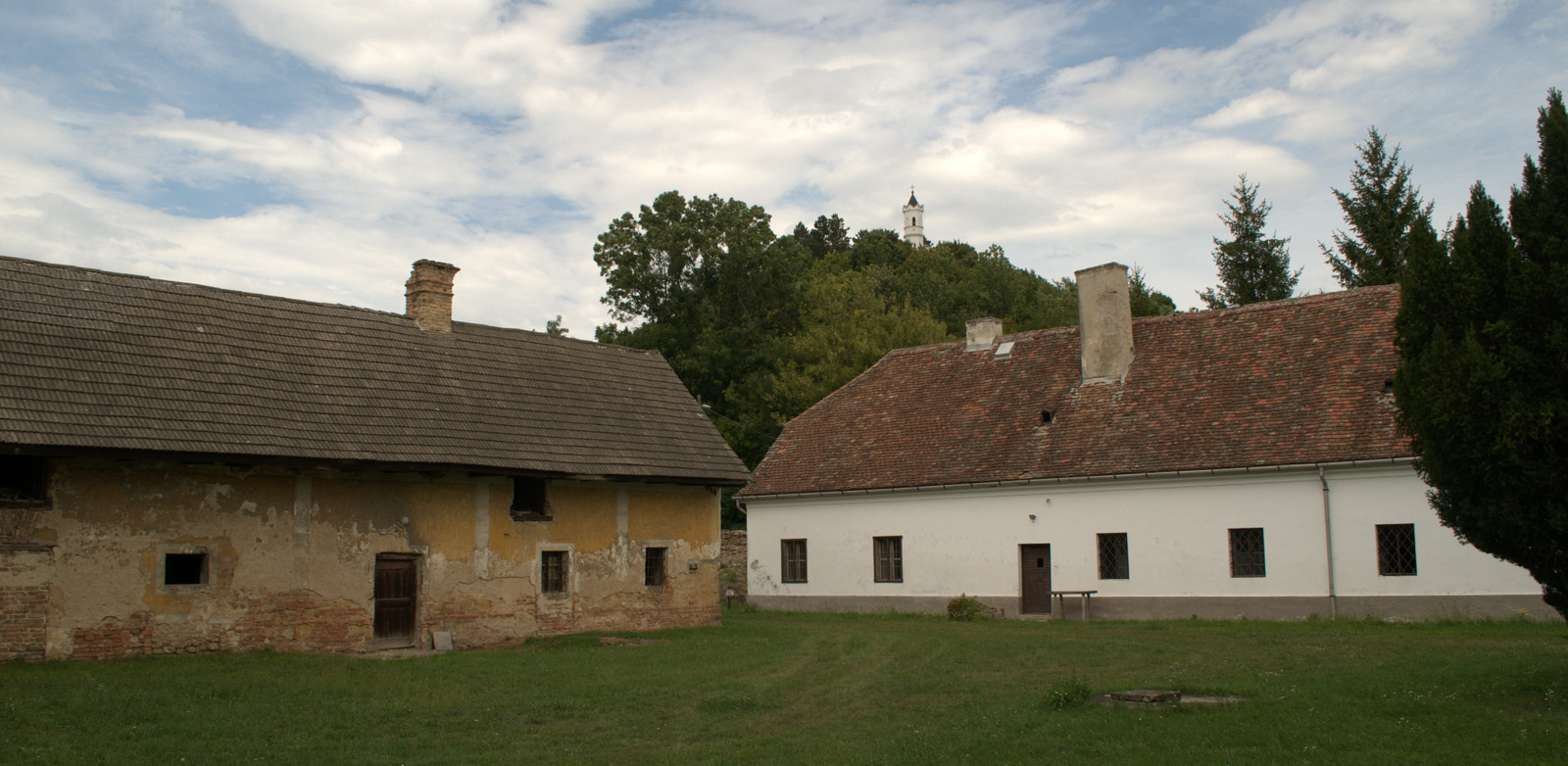 DSC0338.jpg