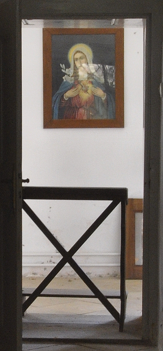DSC0351.jpg