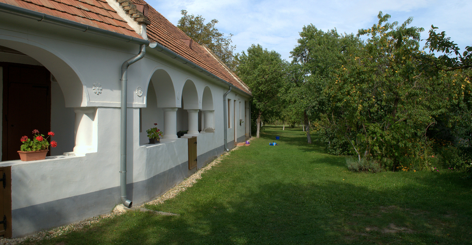 DSC0354.jpg