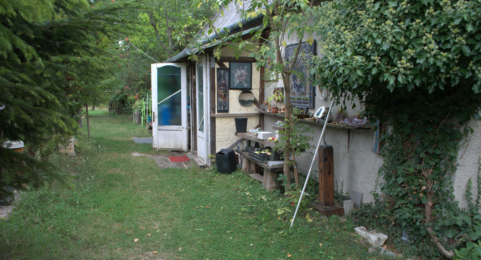 DSC0365.jpg