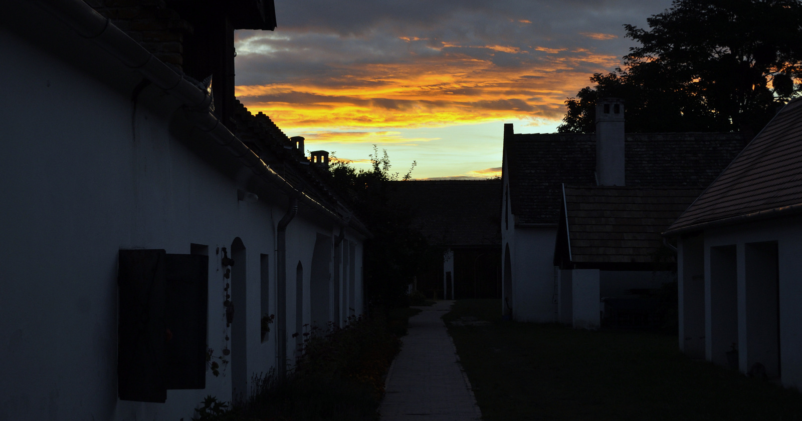DSC0674.jpg