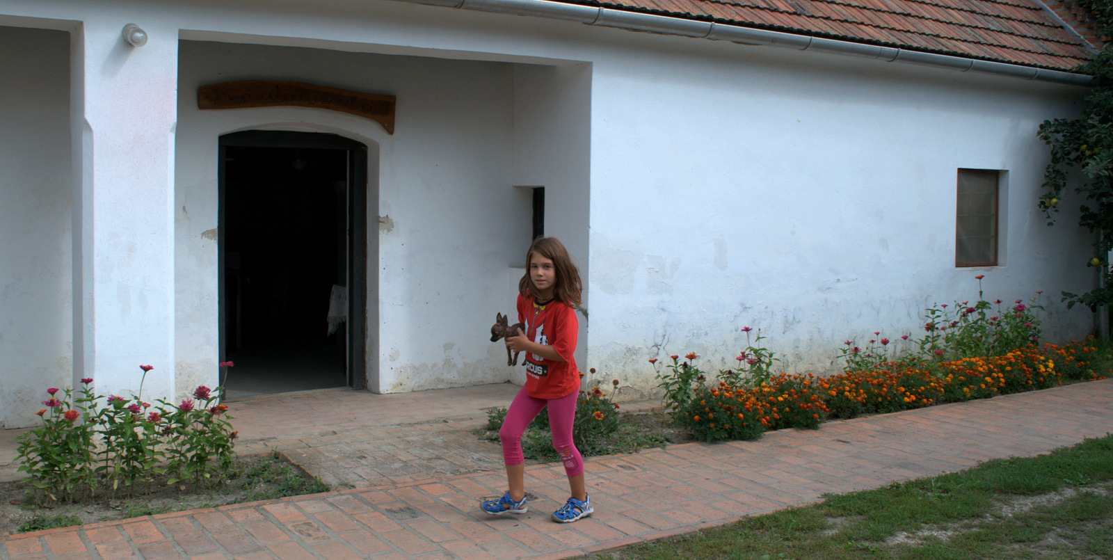 DSC0712.jpg