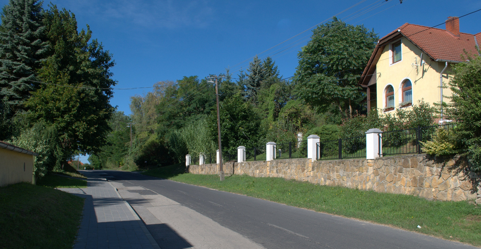 DSC0876.NEF.jpg