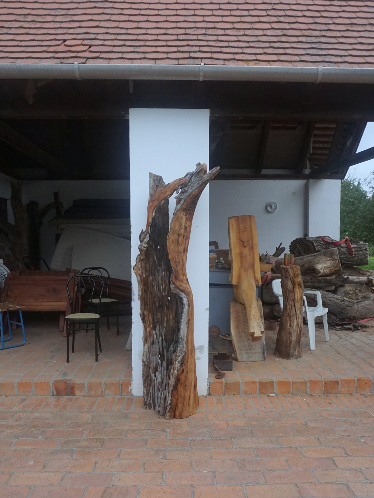 DSC01035.jpg