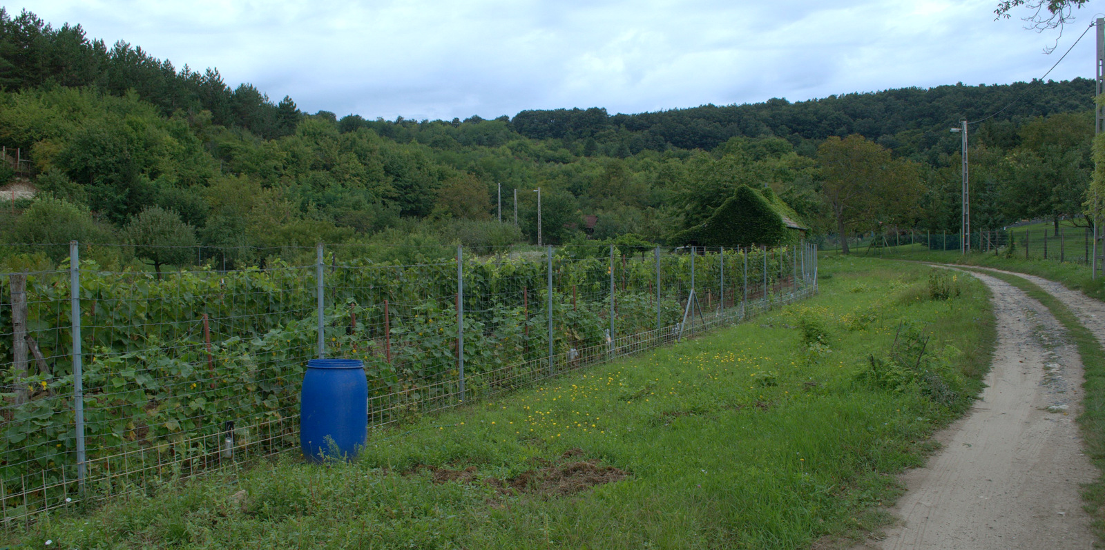 DSC0123.NEF.jpg