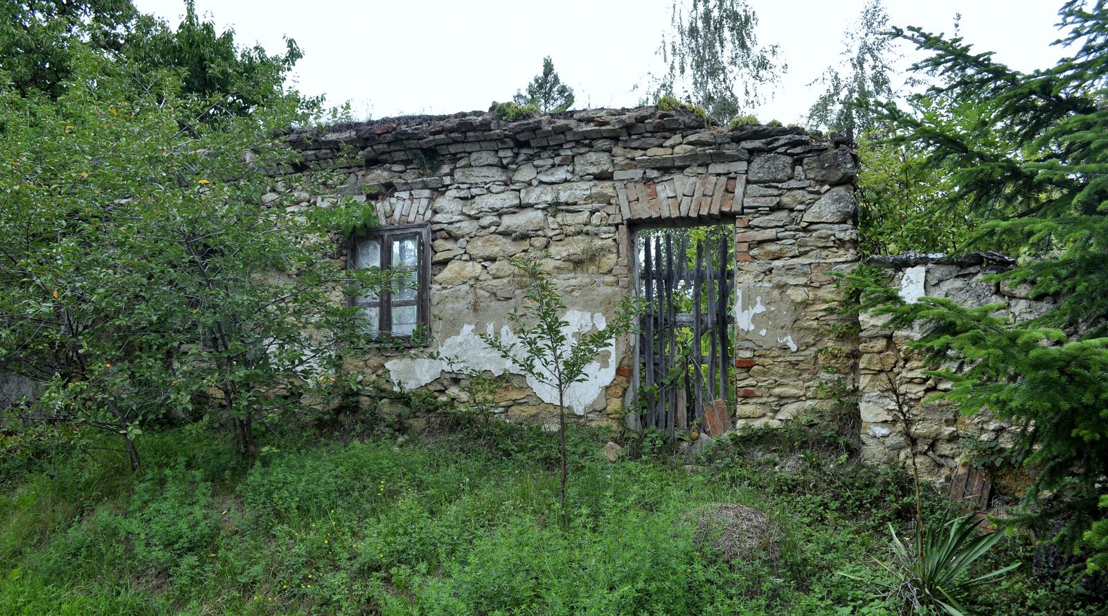DSC0125.jpg