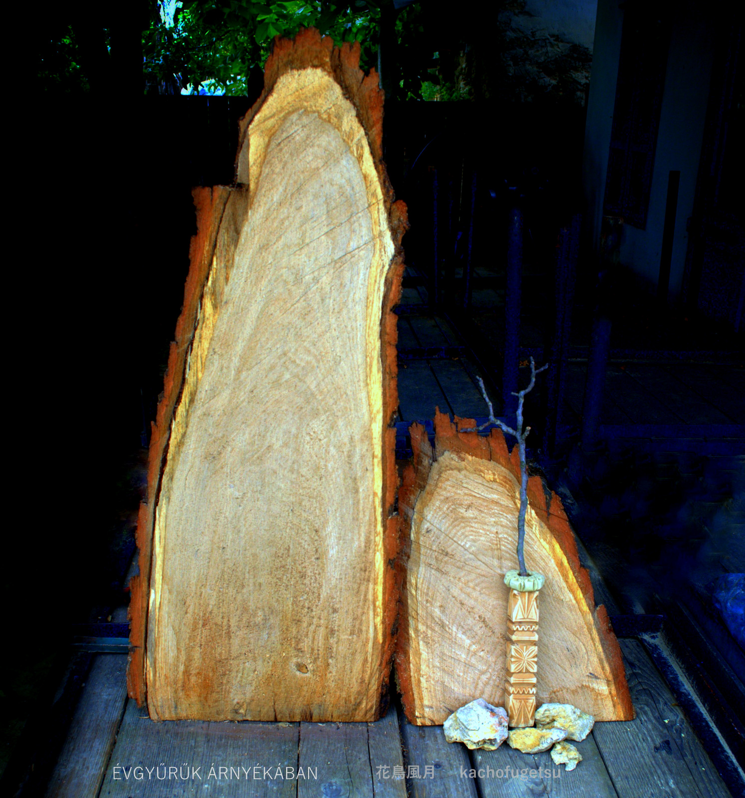 DSC0224.NEF.jpg