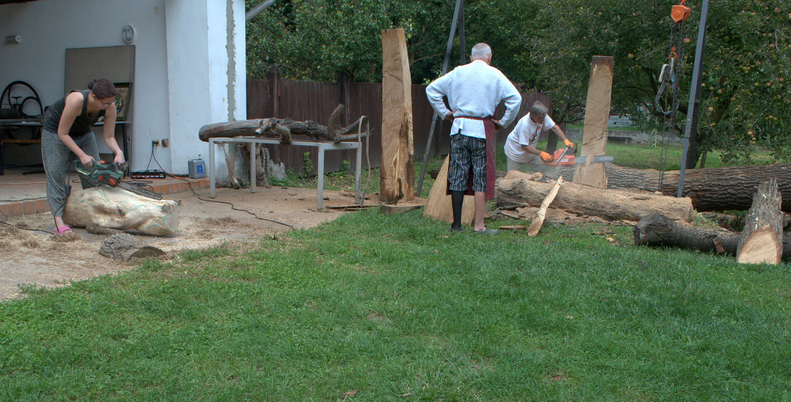 DSC0245.jpg
