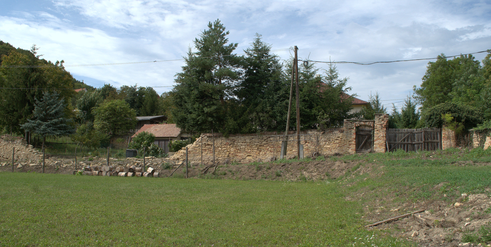 DSC0340.jpg