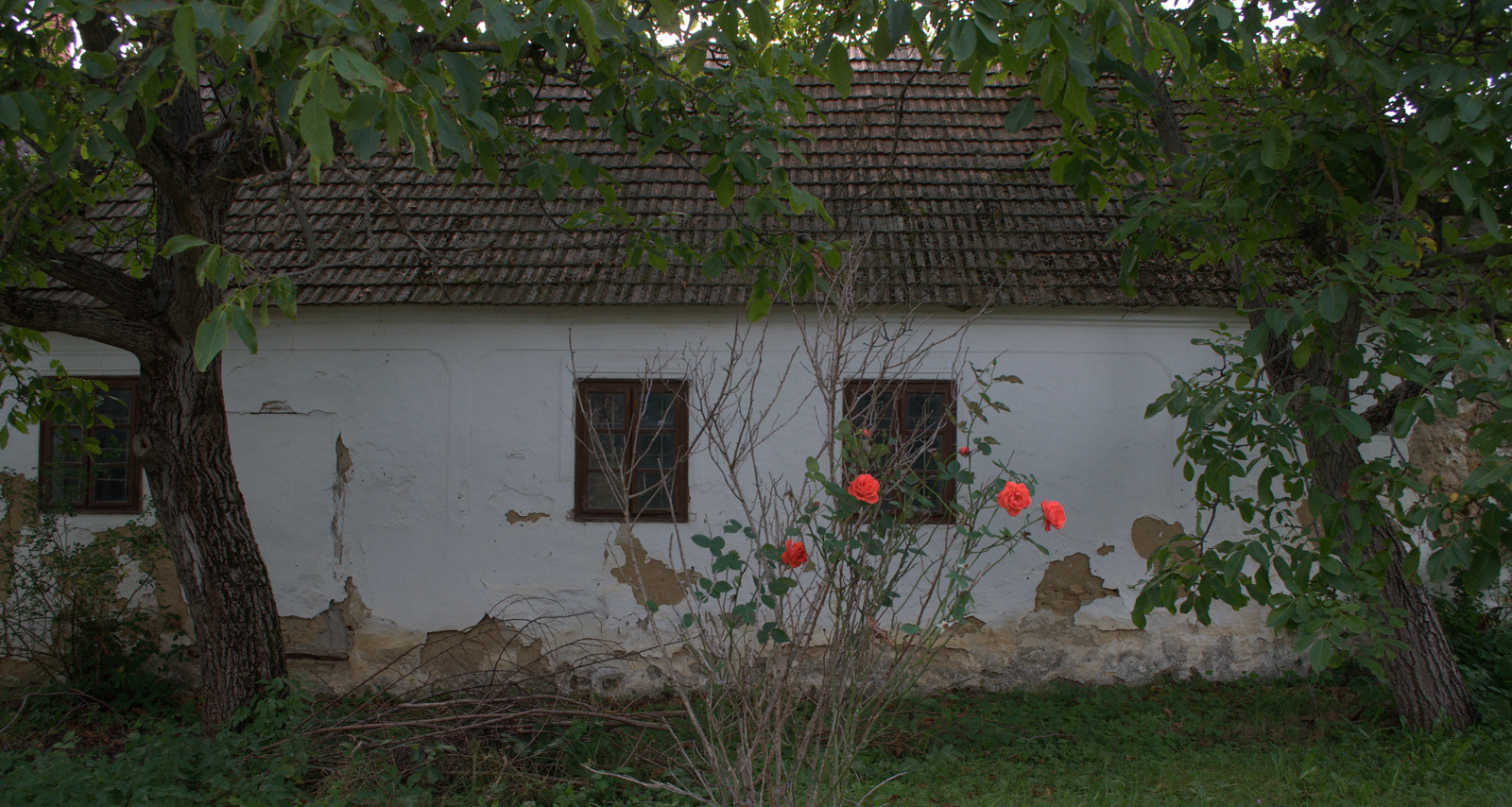 DSC0353.jpg