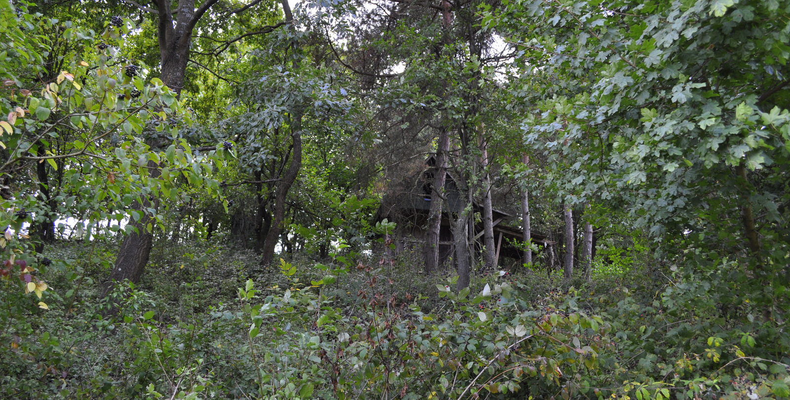DSC0357.jpg