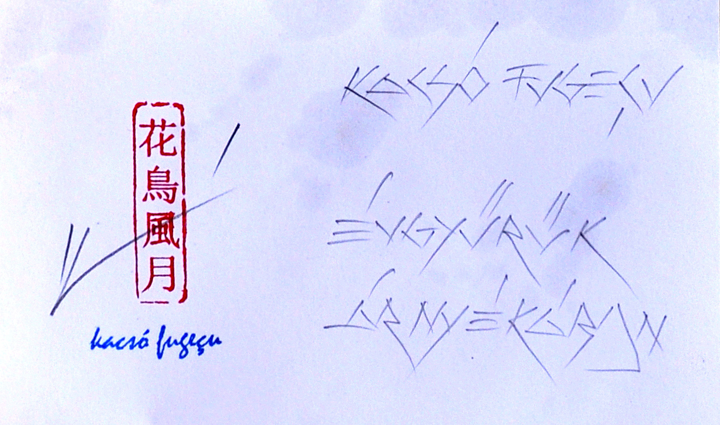 DSC0874.jpg