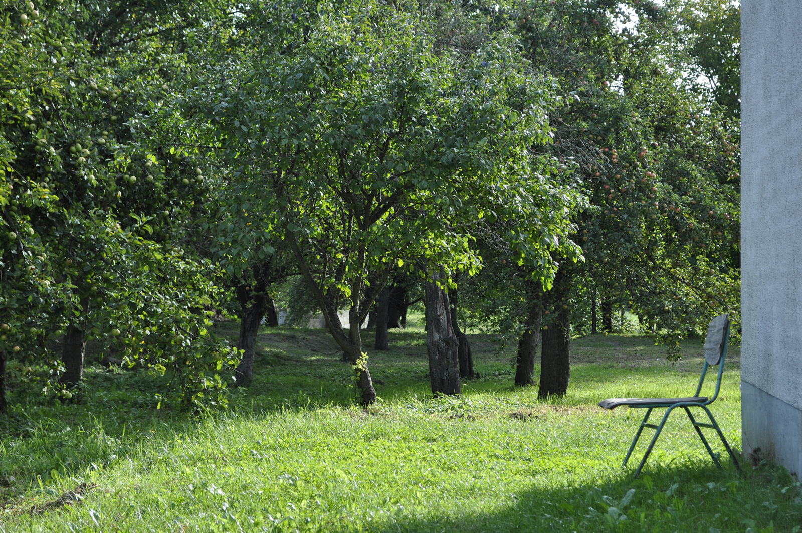 DSC0914.jpg